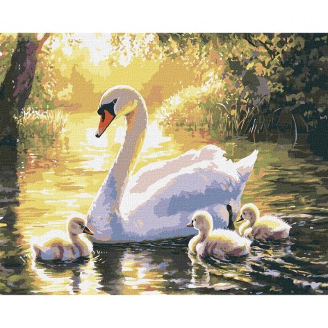 Картина по номерам "Вечерний заплыв" 40х50см