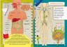 Книга: Школа почемучки. Тело. 55 развивающихся наклеек, укр