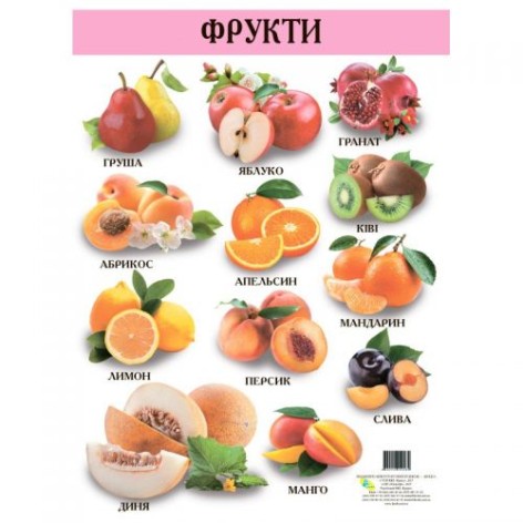 Плакат детский "Фрукты", 42,5 х 60,5 см (укр)