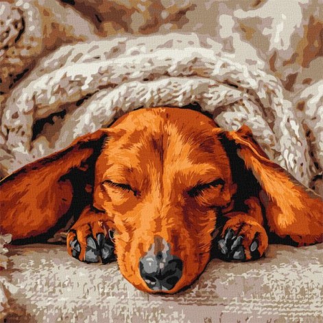 Картина по номерам – Сладкий покой 40х40 см.