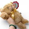 Мягкая игрушка "Plush and Co. Мишка" 30 см