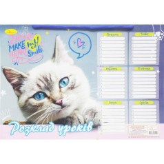 Расписание занятий "Котик"
