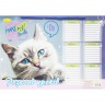 Розклад занять "Котик"
