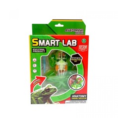 Набор для опытов Анатомия животных, Лягушка