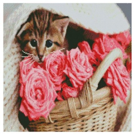 АЛМАЗНАЯ МОЗАИКА 