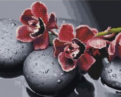 Картина по номерам + Алмазная мозаика "Орхидея" ★★★★