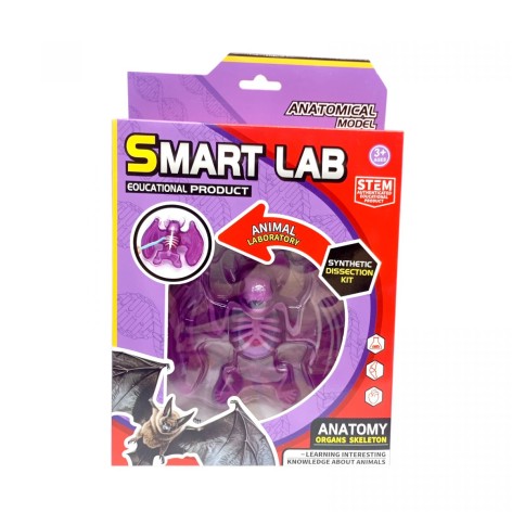 Набор для опытов Анатомия животных, Летучая мышь