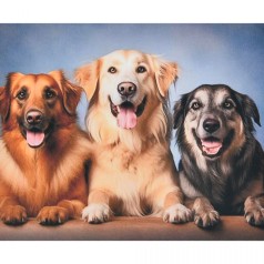 Алмазная мозаика "Три верных друга" 40х50 см