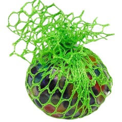 Антистресс в сетке "Мозги" (ЗЕЛЕНЫЙ)