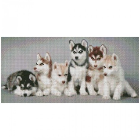 АЛМАЗНАЯ МОЗАИКА 