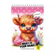 Раскраска с наклейками 105 х 148 мм.12 ар. (WHAT IS YOU NAME?)