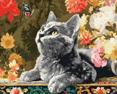 Картина по номерам - "Котенок и бабочки" ©art_selena_ua, 40х50см