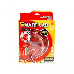 Набор для опытов Анатомия животных, Ящерица