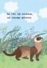 Книга "Малятко, подивись! Тварини лісу" (укр)