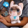 Интерактивная игрушка FURREAL серии "Wag-A-Lots" – КОТЕНКА