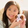 Інтерактивна іграшка FURREAL серії «My Mini’s» - МАЛЕНЬКЕ ЦУЦЕНЯ