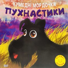 Книжка 