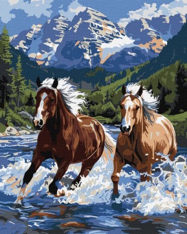 Картина по номерам - "Сила в движении" ©art_selena_ua, 40х50см