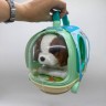 Игрушка интерактивная "Песик: Коричневые ушки" в переноске (МЯТНЫЙ)