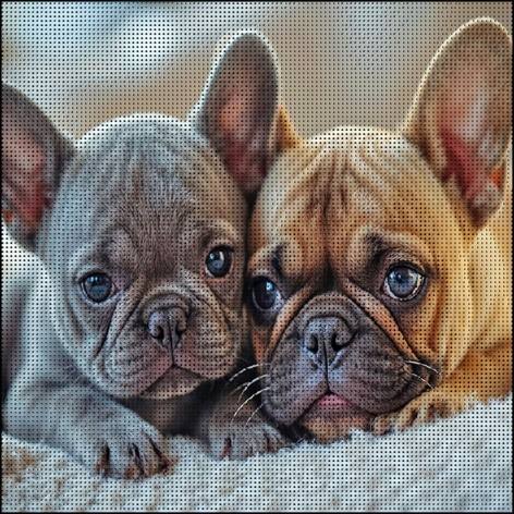 Алмазная мозаика (картина) "Два бульдлжки" 30х30 см