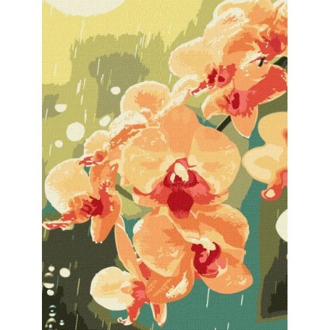 Картина по номерам "Орхидея в каплях" 30x40см