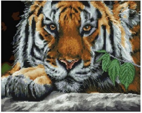 Картина за номерами + Алмазна мозаїка "Погляд тигра"????