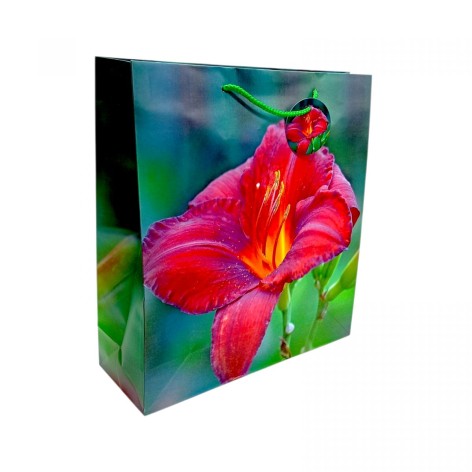 Пакет бумажный 35х37х12 см, GB-24182