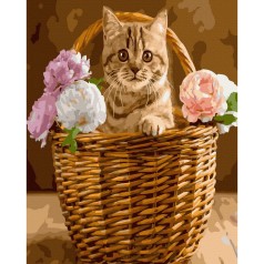 Картина по номерам "Котик в корзине" ★★★