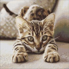 Алмазная мозаика "Играющий котенок" 40х40см