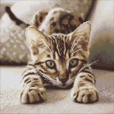 Алмазная мозаика "Играющий котенок" 40х40см