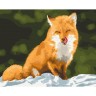 Картина по номерам "Лисичка-сестричка" ★★★