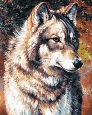 Картина по номерам "Волк"