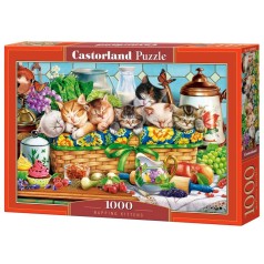 Пазл Castorland 1000