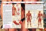 Книга "Все про тіло людини. Тисячі цікавих фактів" (укр)