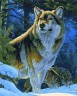 Картина за номерами + Алмазна мозаїка "Гордий вовк"????