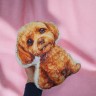 М'яка іграшка-подушка Песик Мальтіпу 30 см