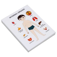 Пазлы обучающие "Internal Organs: Мальчик"
