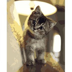 Картина по номерам "Маленький котик"  ★★★★