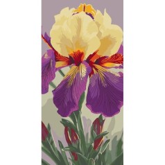 Картина по номерам "Ирис Карнивал Каперс" 40х80 см