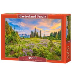 Пазл Castorland 2000