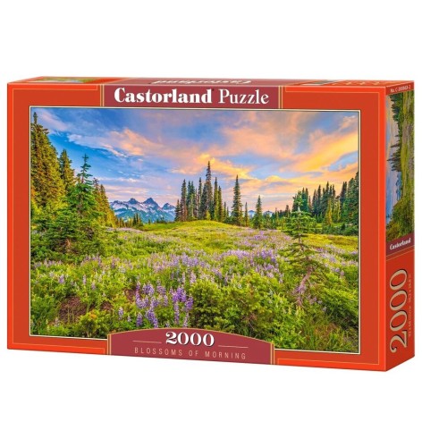 Пазл Castorland 2000