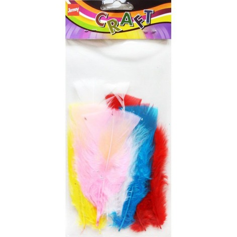 Набір для творчості - Пірʼя кольорові