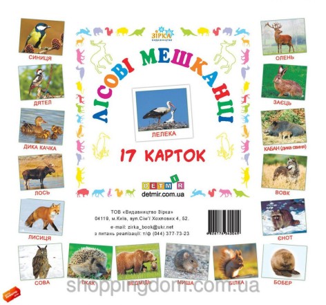 Картки міні Лісові мешканці (110х110 мм)