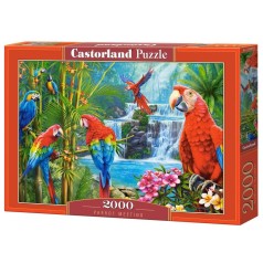 Пазл Касторленд 2000