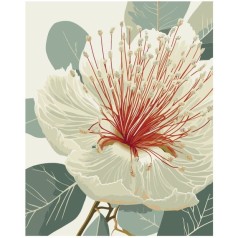 Картина по номерам "Цветущий эвкалипт" 40х50 см