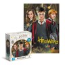 Пазл "Harry Potter. Гаррі та друзі", 250 елементів