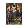 Пазл "Harry Potter. Гаррі та друзі", 250 елементів