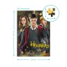 Пазл "Harry Potter. Гаррі та друзі", 250 елементів