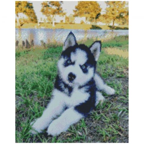 Алмазная мозаика 