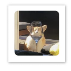 3D-стікер "Коргі"